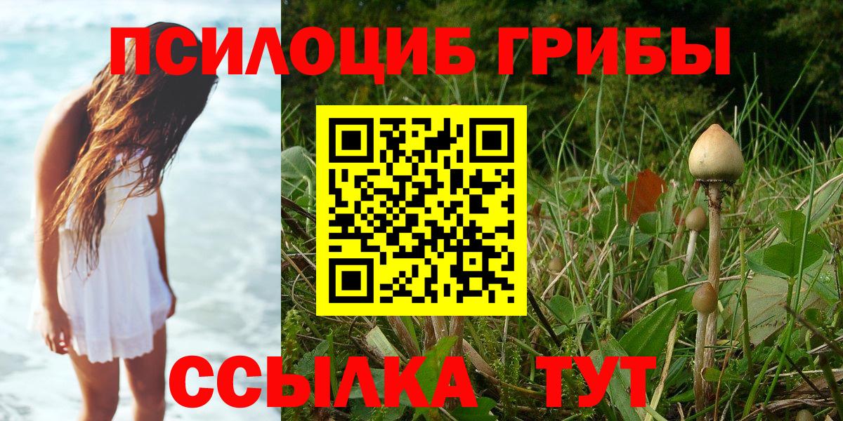 Псилоцибиновые грибы Psilocybe Радужный